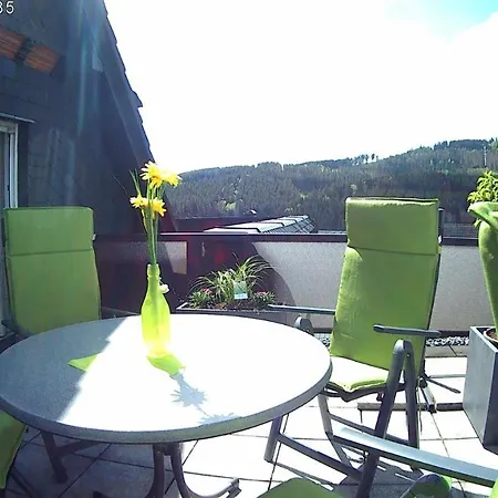 Panoramablick Luge Sauerland * Winterberg