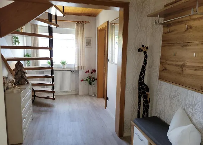 Panoramablick Luge Sauerland *