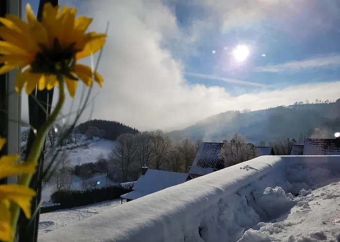 Panoramablick Luge Sauerland